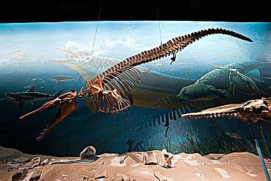 《异度神剑3》全新预告公布 DLC公开