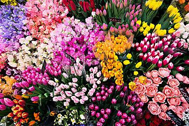 《生化危机4：重制版》中文预告 高清截图和新细节